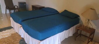 Bleu Haven oceanfront 6 bedroom in Tower isle