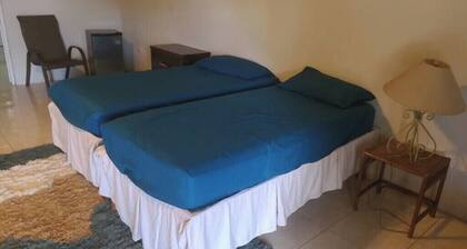 Bleu Haven oceanfront 6 bedroom in Tower isle