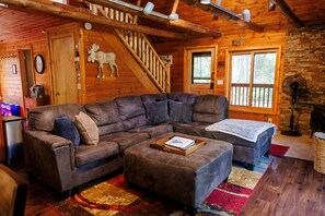 Smart TV, fireplace, books, offices