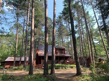 Piney Woods Retreat | Beautiful Pine Forest | Hiking Trails from the Cabin