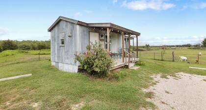 Escape to El Olivo â A Cozy Tiny Home Retreat