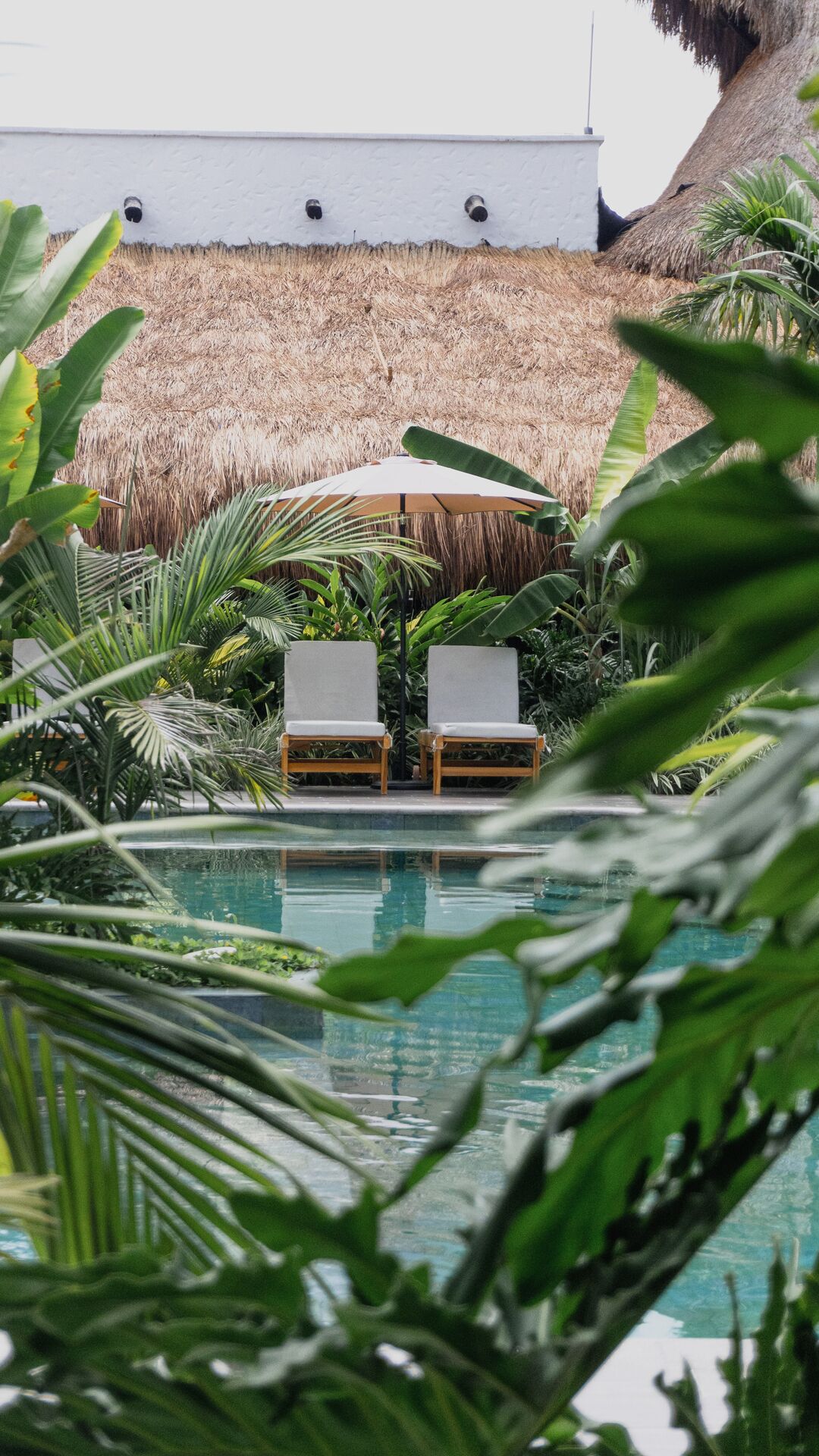 Una piscina con dos sillas de descanso y una sombrilla, rodeada de plantas tropicales.