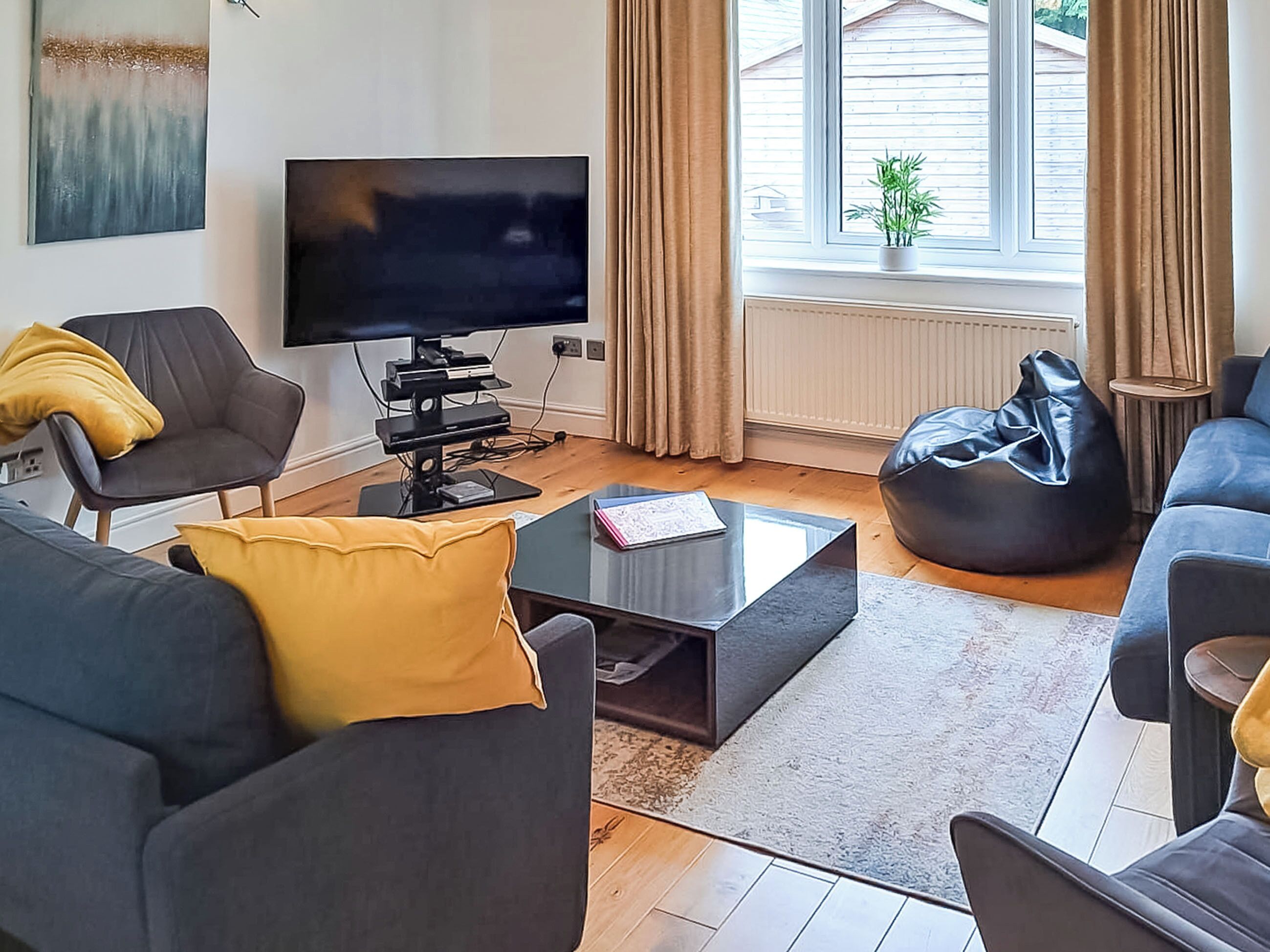 TV, fireplace