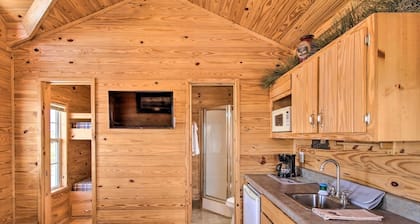 Damselfly Cabin (Cabin #5)