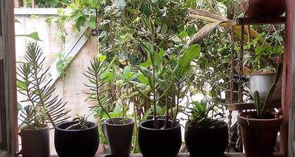 Sea View Studio in Caraíva Bahia - 2 minutes from the Church Square