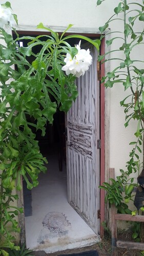 Sea View Studio in Caraíva Bahia - 2 minutes from the Church Square