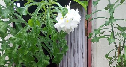 Sea View Studio in Caraíva Bahia - 2 minutes from the Church Square