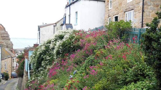 Uma rua estreita ladeada por edifícios de pedra, alguns com varandas e caixas de flores.