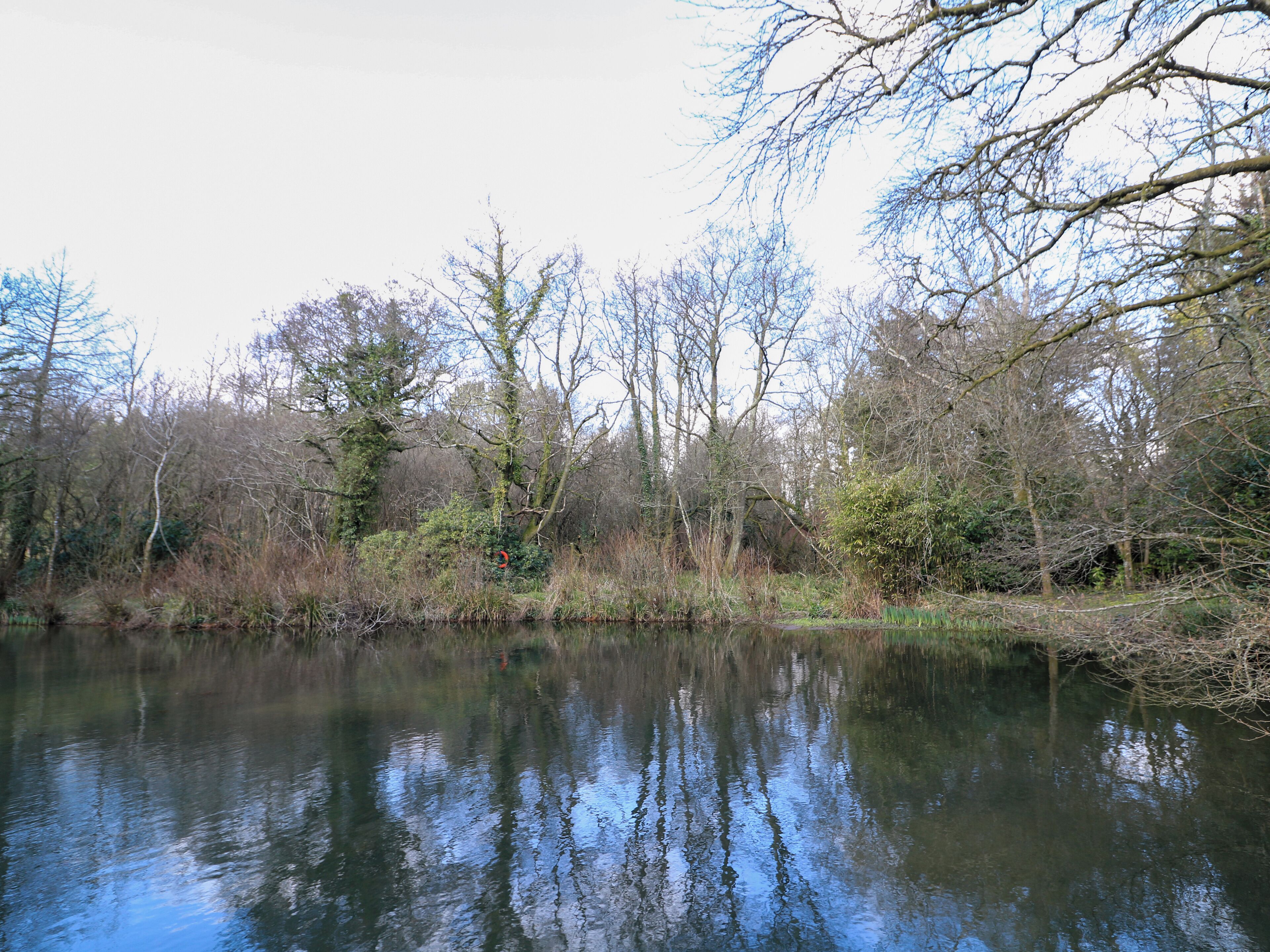 Une rivière paisible, bordée d’arbres dont le reflet se mire dans l’eau.