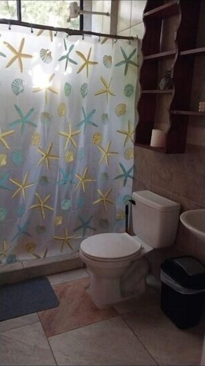 Shower, towels, soap