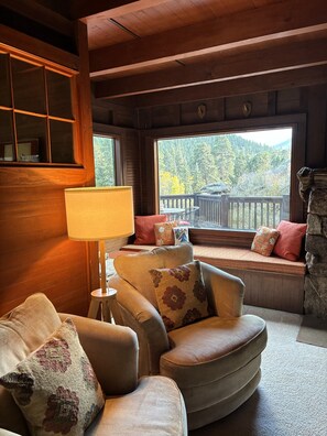 Smart TV, caminetto, libri