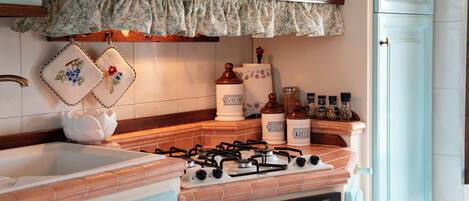 Fridge, oven, stovetop, electric kettle