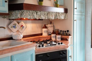 Fridge, oven, stovetop, electric kettle