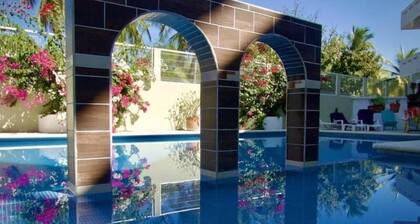 Alegre Amanecer By YALP