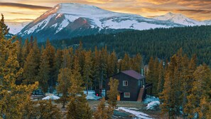 Exterior - Family Friendly~Arcade~HotTub~Views!~23 Miles to Breck~KingBds~Dogs~Fast WIFI (Fairplay)