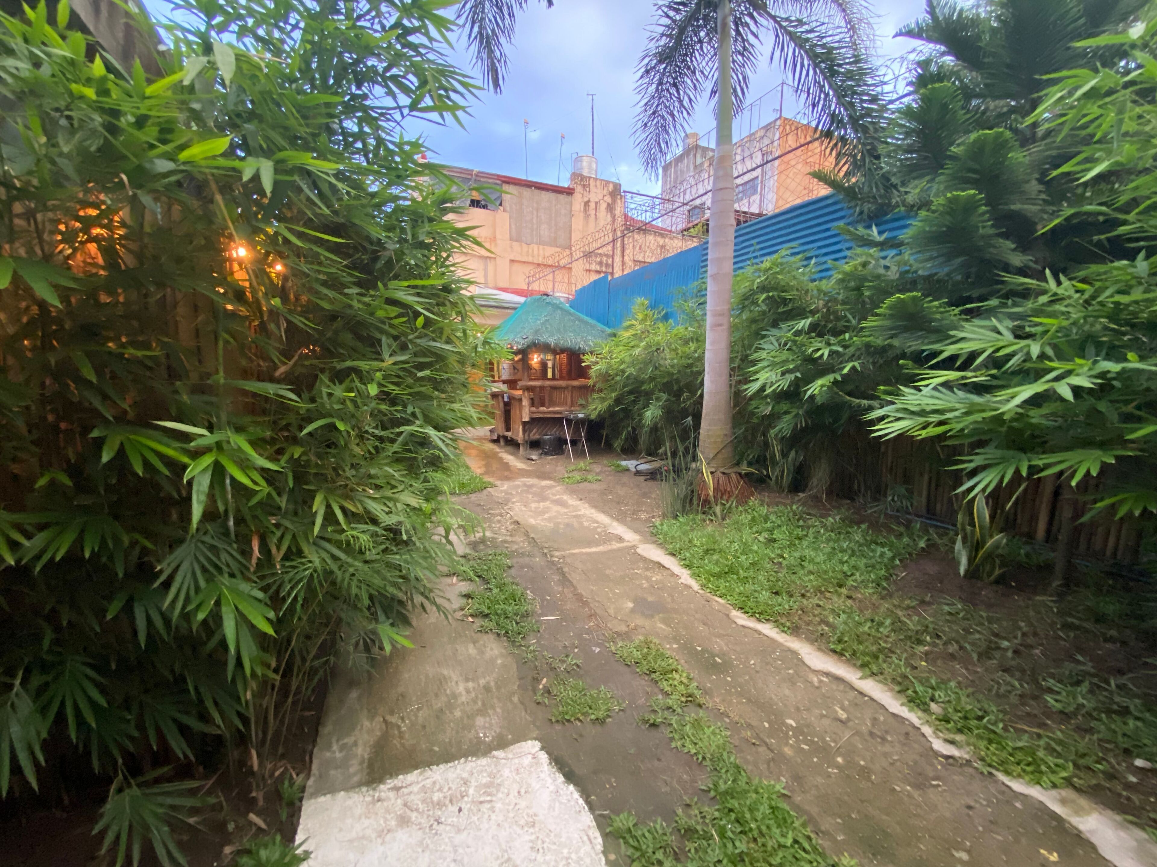 A narrow pathway flanked by dense foliage leading to a rustic wooden structure with a thatched roof.