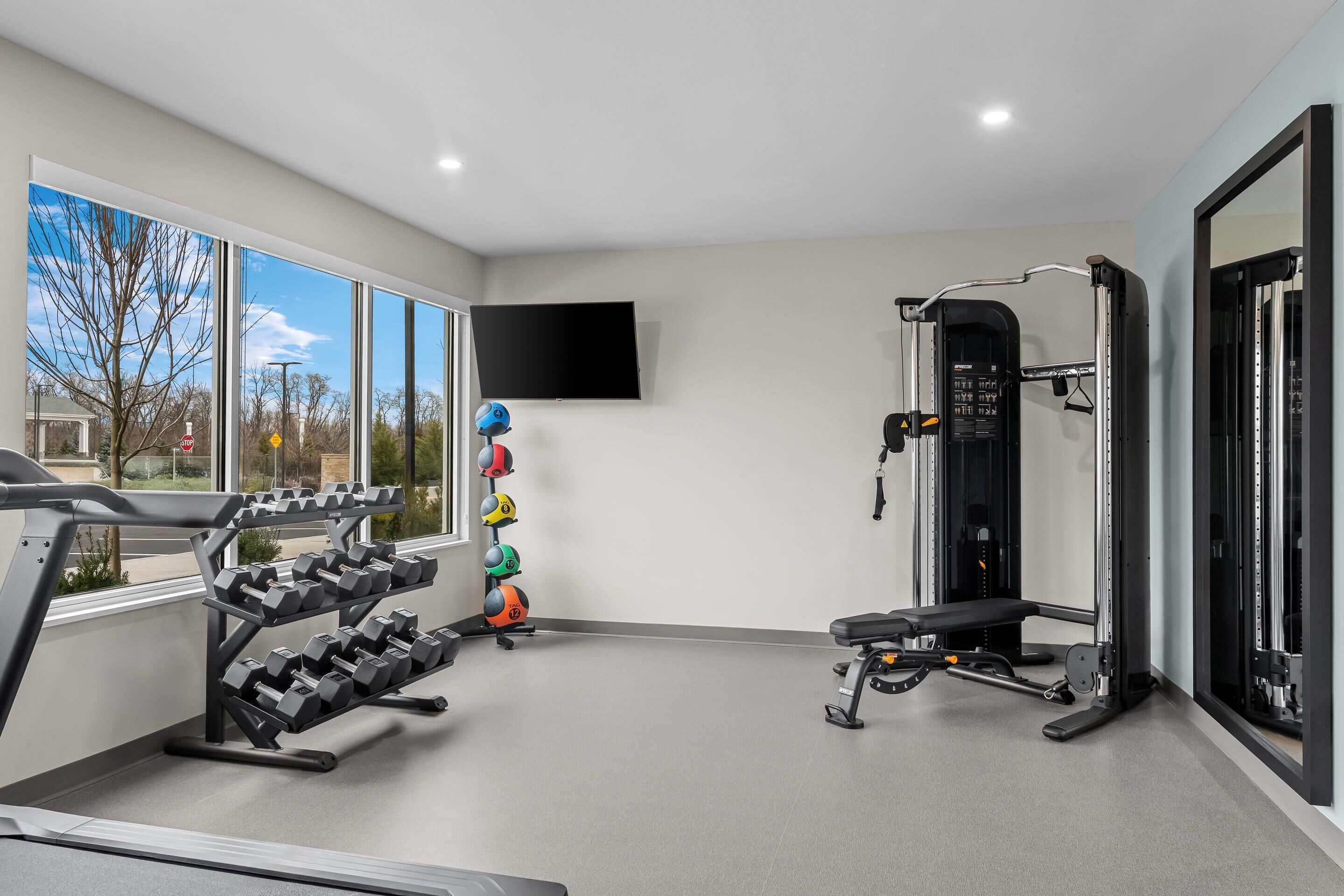 A gym with a treadmill, dumbbells, a bench, and a cable machine.