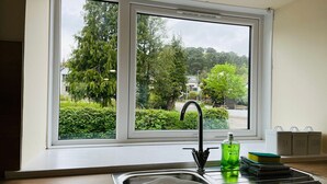A kitchen with a window, a sink, and a bottle of dish soap.