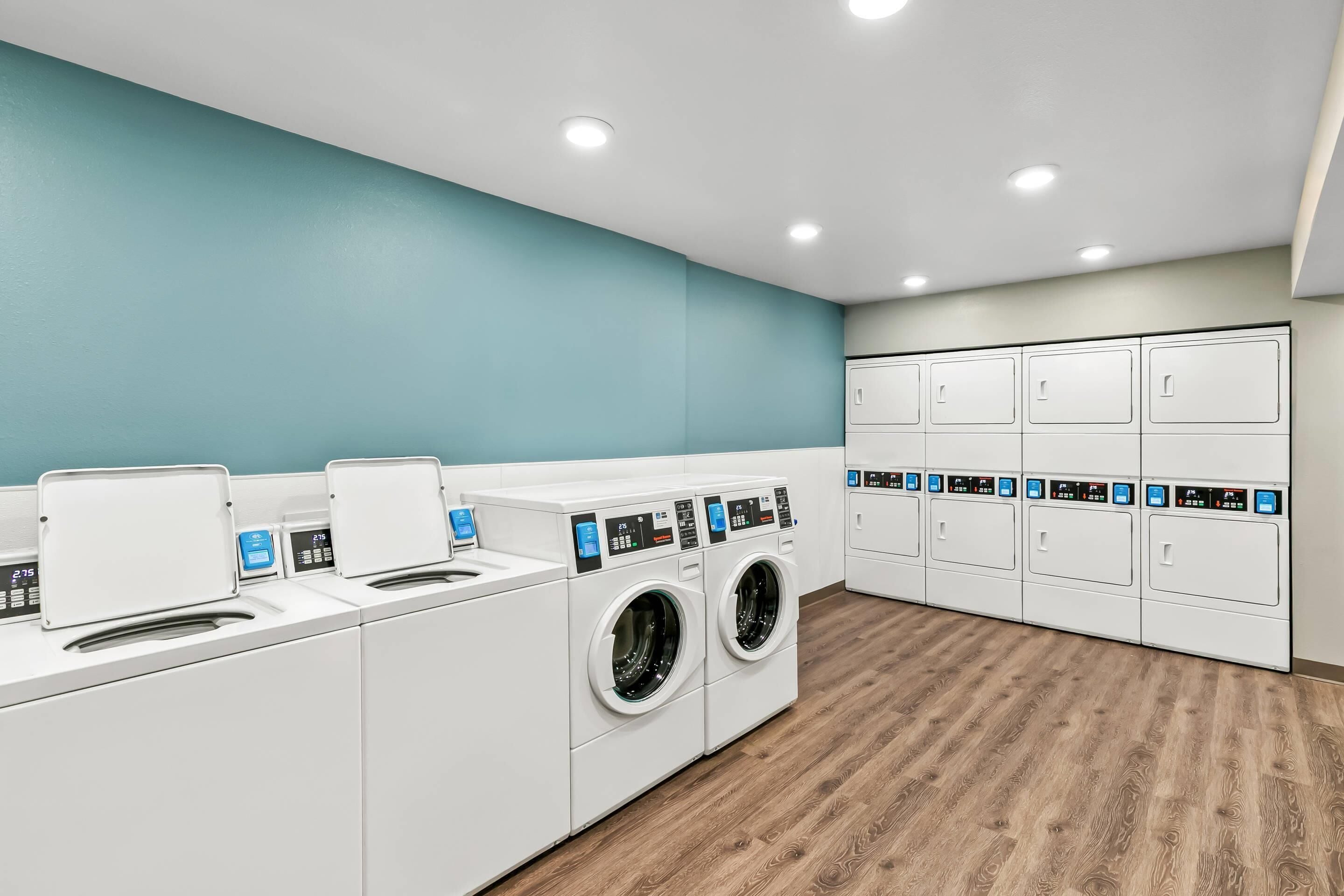 A modern laundry facility with multiple washing machines and dryers, wooden flooring, and a blue accent wall.