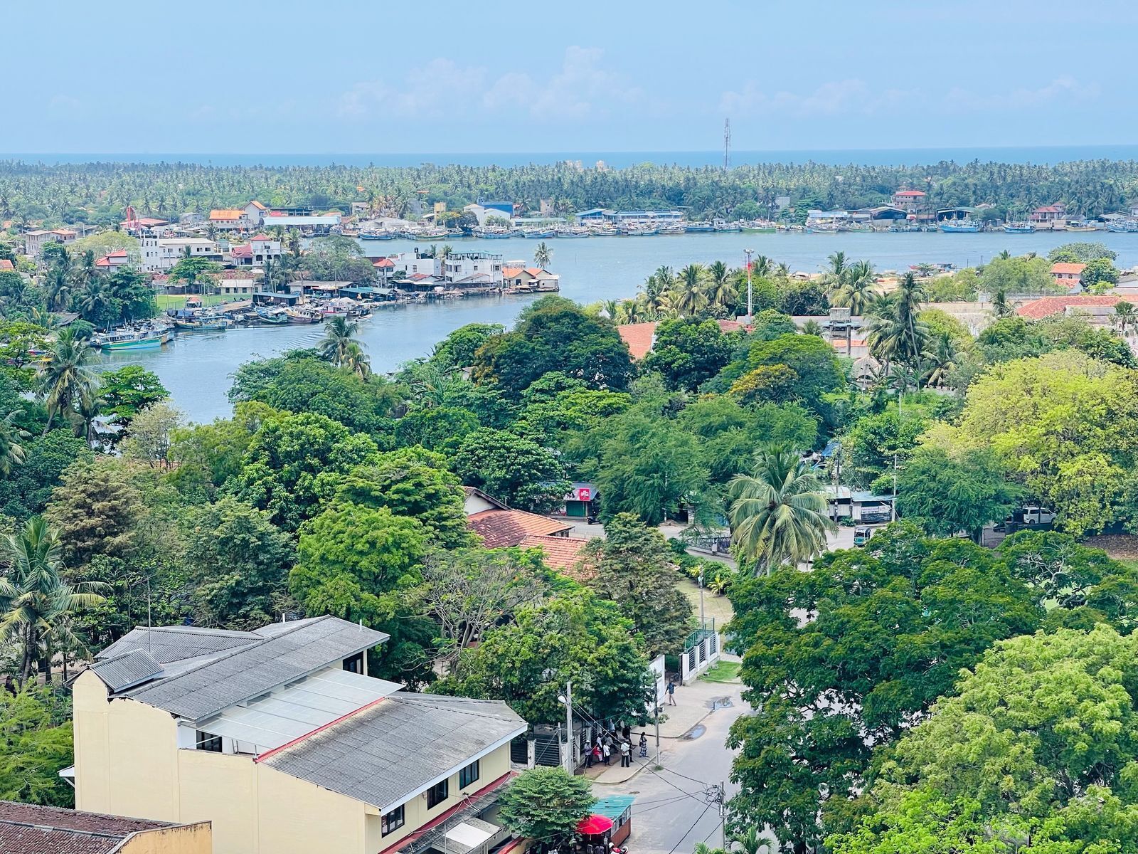 A coastal town with a marina, dense greenery, and residential buildings.