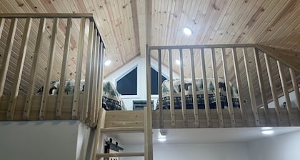 Unique Cabin in Fairbanks, see the Aurora, fish/snow machine from the property