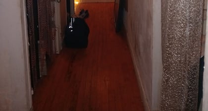 1 chambre dans une colocation