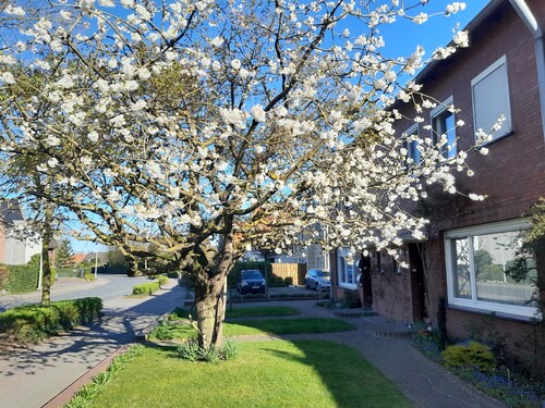 Beautiful ground floor apartment 65sqm, fully equipped with beautiful garden and terrace