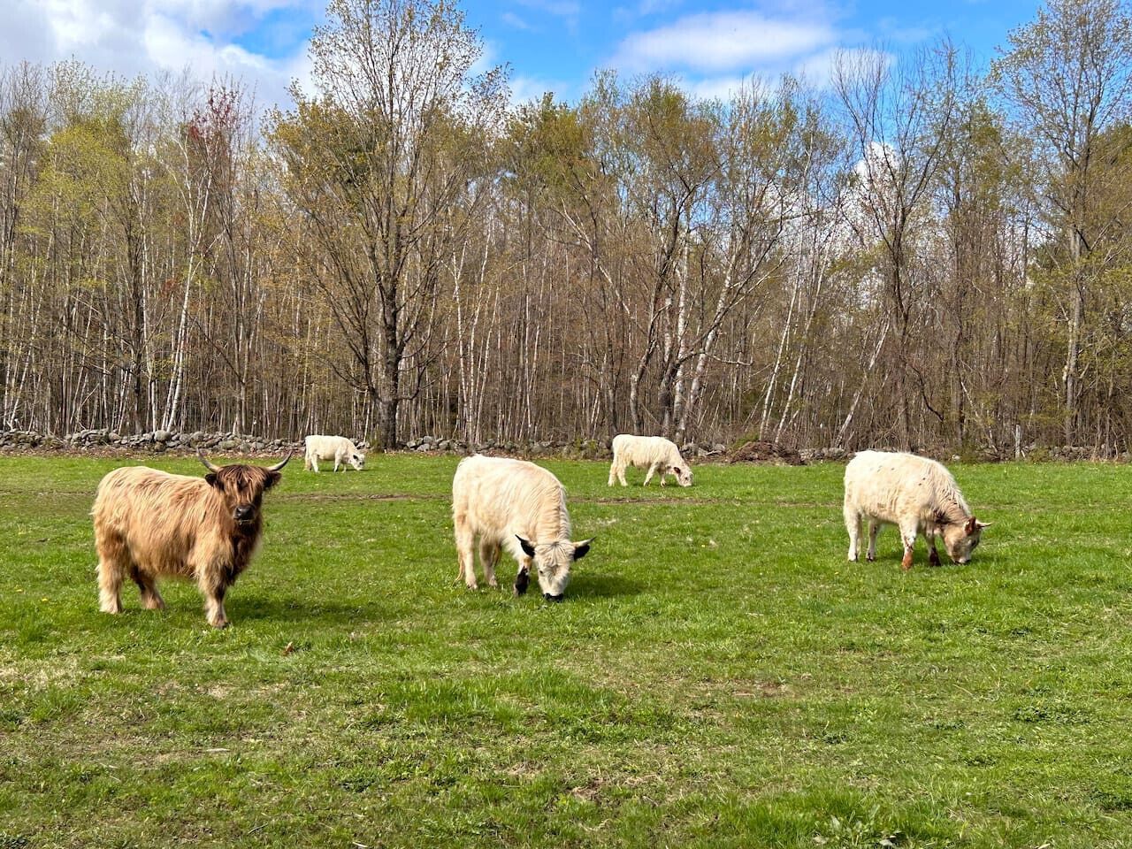 Experience the beauty of farm life right outside your door.