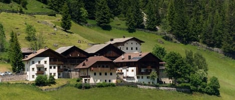 Esterni