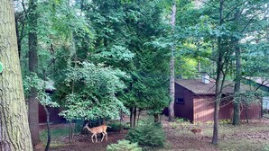 A forested area with a small cabin and a deer in the background.