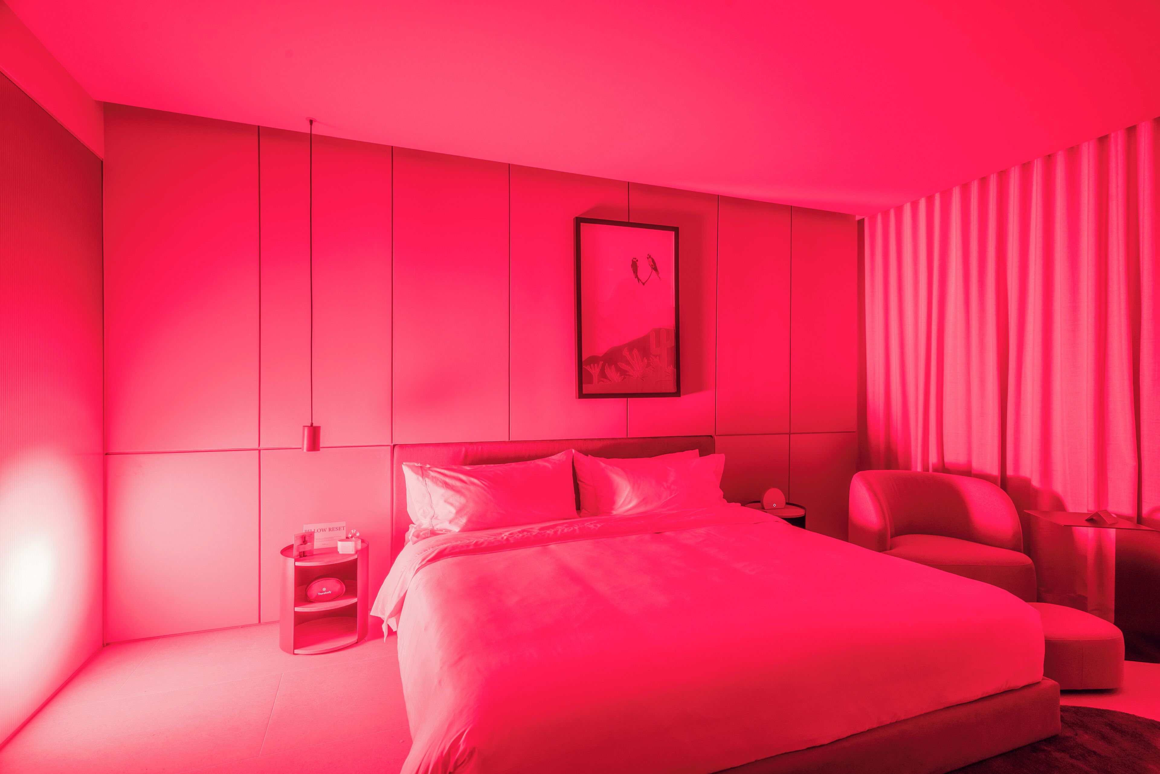 Bộ đồ giường kháng dị ứng, minibar với thức ăn, đồ uống miễn phí 