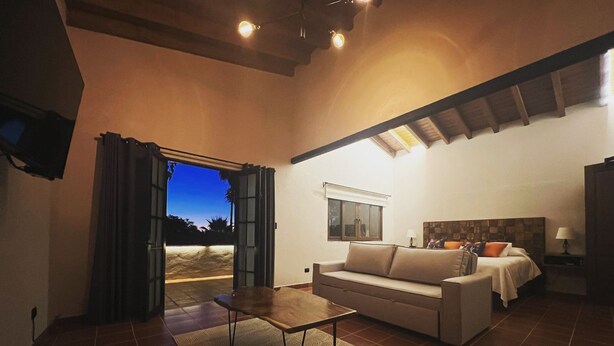 A spacious living room with a sofa, a coffee table, and a view of the outdoors through a sliding door. - Hotel Casa Aliz (San Miguel de Allende)