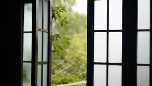 A view through a window with a grid pattern, a metal fence, and greenery outside. - Hotel Casa Aliz (San Miguel de Allende)