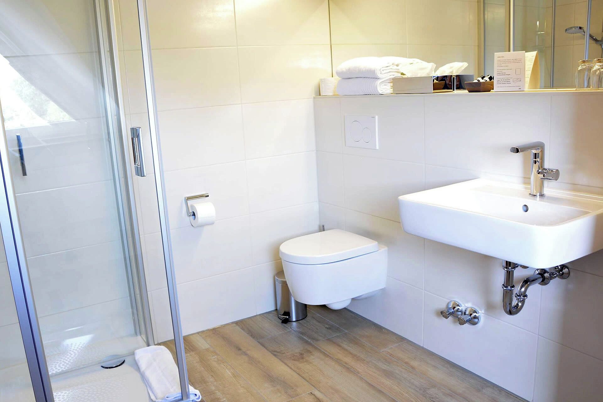 A modern bathroom with a glass shower enclosure, a white toilet, and a sink with a mirror above it.