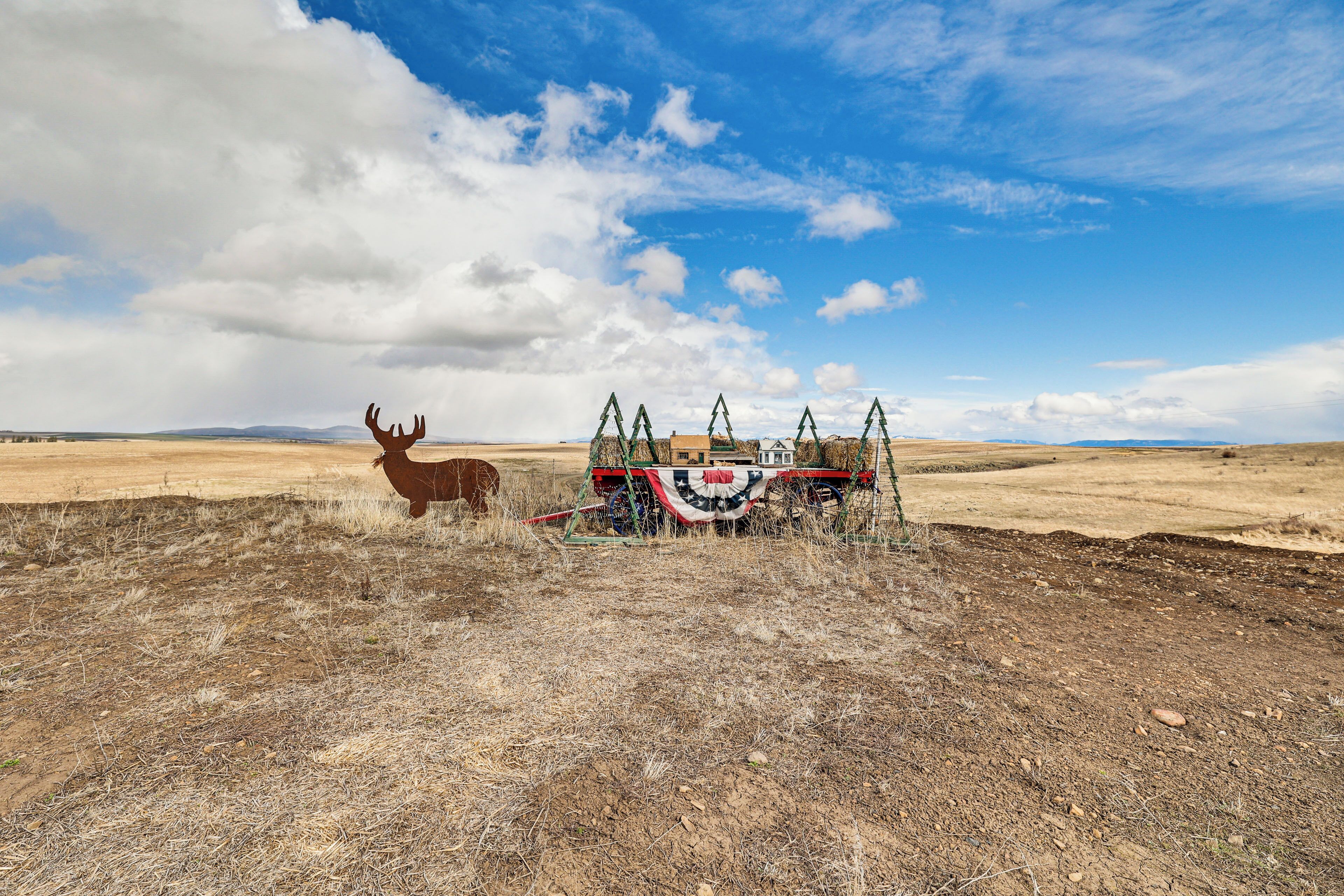 A moose in a dry, open landscape with a decorated vehicle in the background.