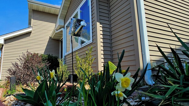 A house with a window-mounted bird feeder, a garden with daffodils, and a clear blue sky. - Hawthorne Hideaway (West Des Moines)