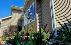 Une maison avec une mangeoire à oiseaux fixée à une fenêtre, un jardin où poussent des jonquilles et un ciel bleu dégagé.