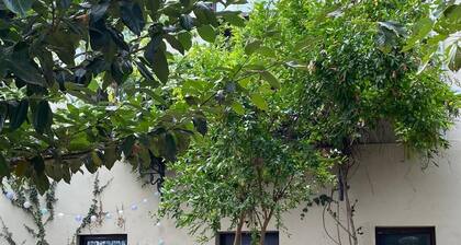 Elegant and Cozy Appartement with Wifi and Garden in Heart of Charming Telavi