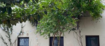 Elegant and Cozy Appartement with Wifi and Garden in Heart of Charming Telavi