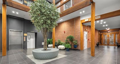 “Elm City” Retreat Near Yale, Parking, Gym, Downtown, Wooster Sq & Union Station