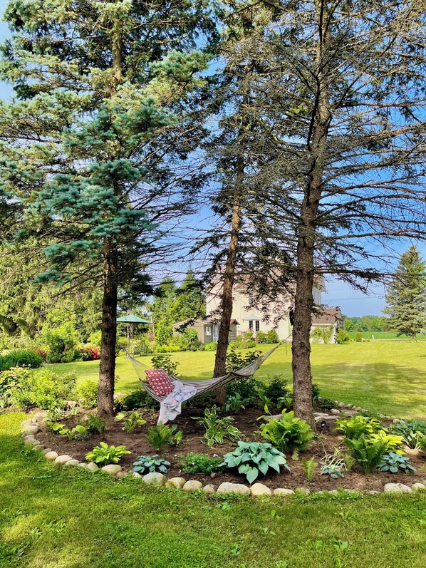 Área da propriedade