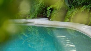 Vista despejada de una piscina de borde curvo, rodeada de exuberantes helechos verdes.