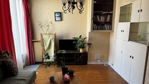 Un salon avec un canapé, une table basse, un téléviseur, une bibliothèque et un radiateur.