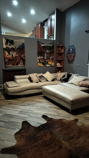 Televisio, takka, kirjoja