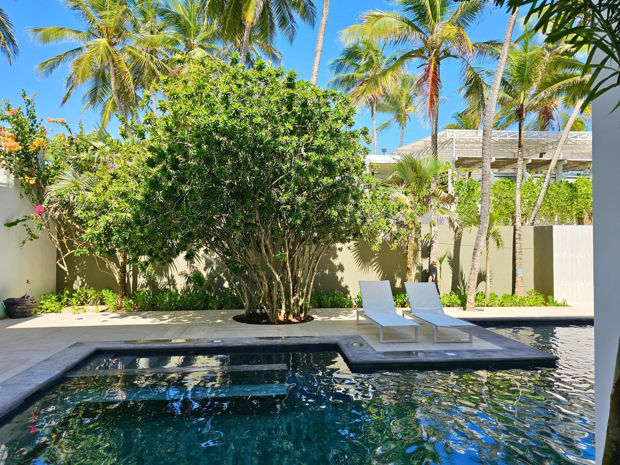 A swimming pool with lounge chairs, surrounded by palm trees and a building in the background.