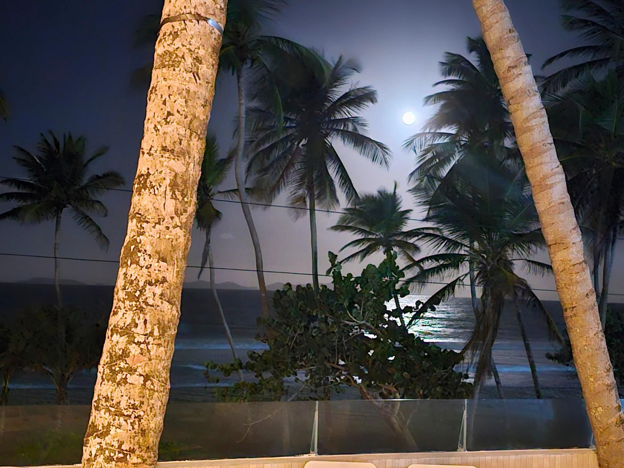 A nighttime view of a beach with palm trees and a fence in the foreground.