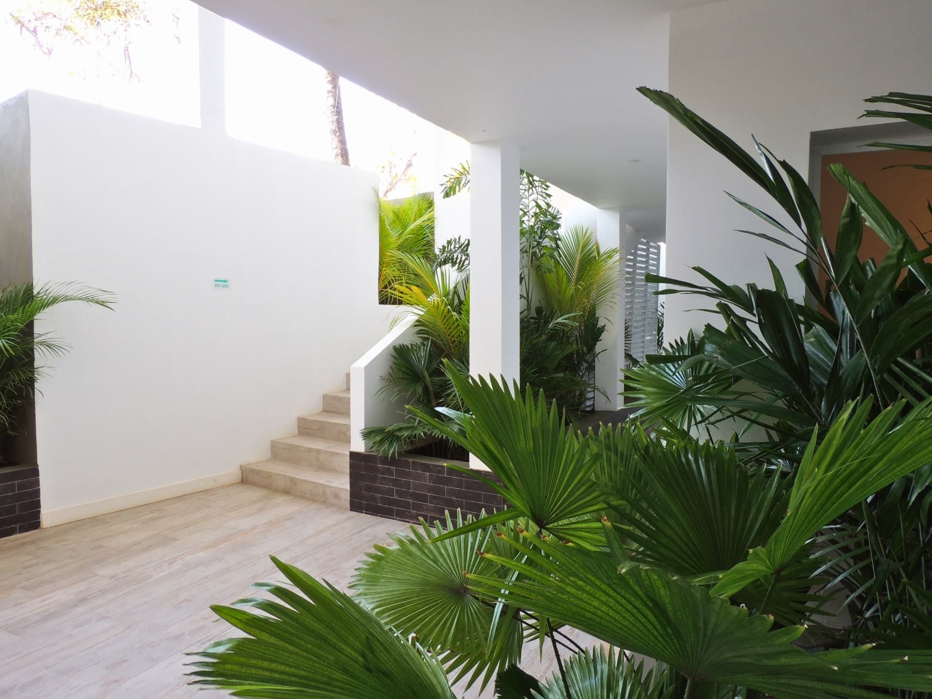 A modern interior with a staircase, white walls, and indoor plants.
