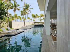 Une piscine avec des chaises longues et une vue sur les palmiers.