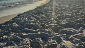 Una playa con cielo despejado, el sol bajo en el horizonte y algunas personas caminando por la orilla.