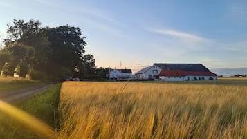 Land view from property